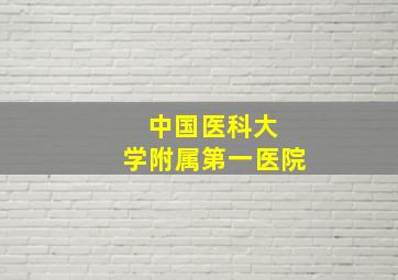 中国医科大 学附属第一医院